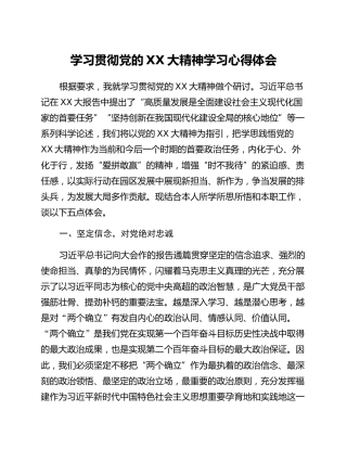 学习贯彻党的二十大精神学习心得体会 (2)