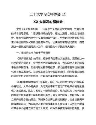 二十大学习心得体会 (2)