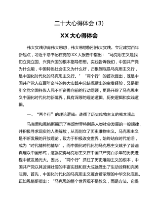 二十大心得体会 (3)