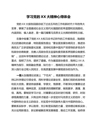学习党的二十大精神心得体会 (4)