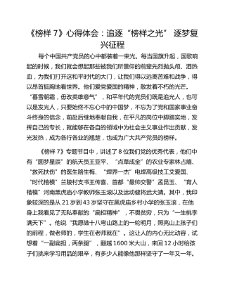 《榜样7》心得体会：追逐“榜样之光” 逐梦复兴征程