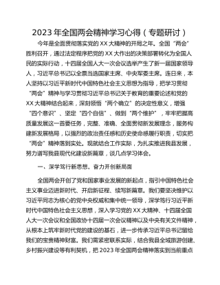 2023年全国两会精神学习心得（专题研讨）
