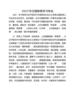 2023年主题教育学习体会