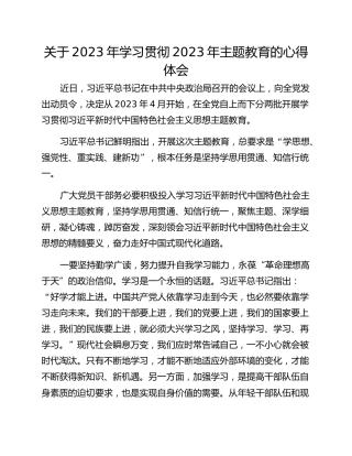 关于2023年学习贯彻2023年主题教育的心得体会