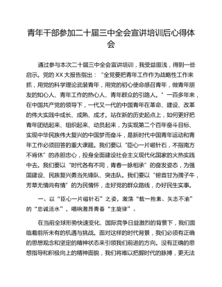 青年干部参加二十届三中全会宣讲培训后心得体会