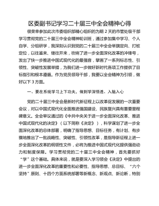 区委副书记学习二十届三中全会精神心得