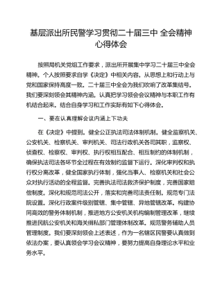 基层派出所民警学习贯彻二十届三中 全会精神心得体会