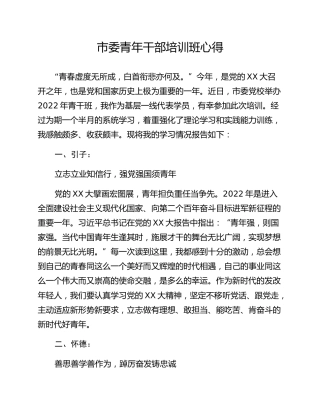 市委青年干部培训班心得