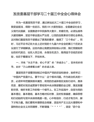发改委基层干部学习二十届三中全会心得体会