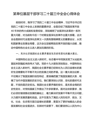 某单位基层干部学习二十届三中全会心得体会