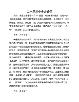 二十届三中全会感悟