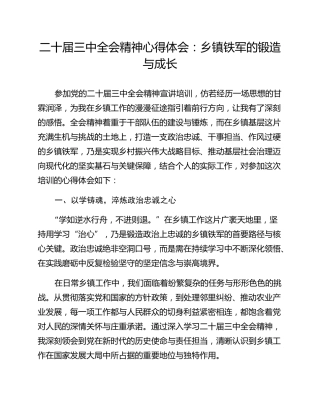 二十届三中全会精神心得体会：乡镇铁军的锻造与成长