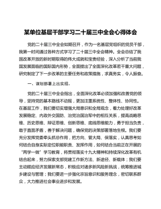 某单位基层干部学习二十届三中全会心得体会 (2)