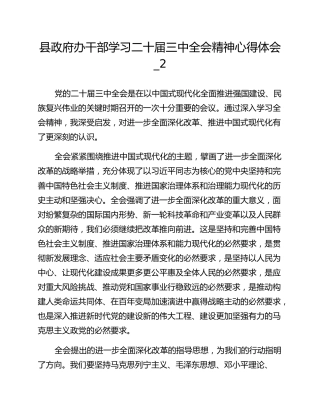 县政府办干部学习二十届三中全会精神心得体会_2