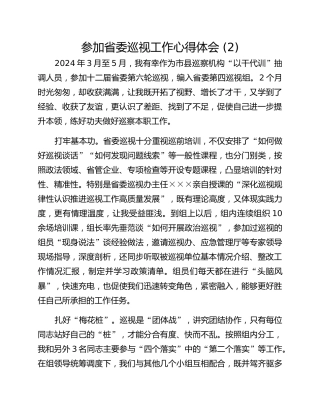 参加省委巡视工作心得体会 (2)
