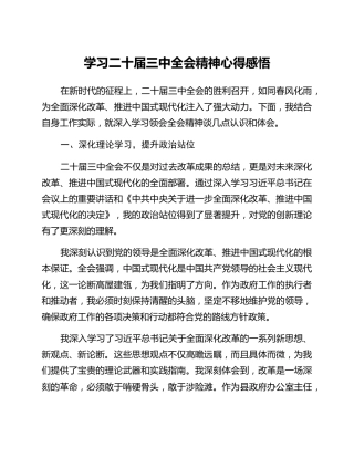 学习二十届三中全会精神心得感悟 (3)