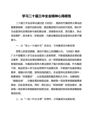 学习二十届三中全会精神心得感悟 (4)