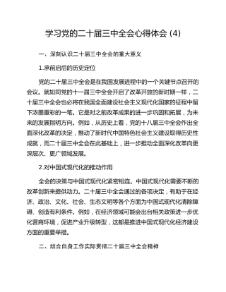 学习党的二十届三中全会心得体会 (4)