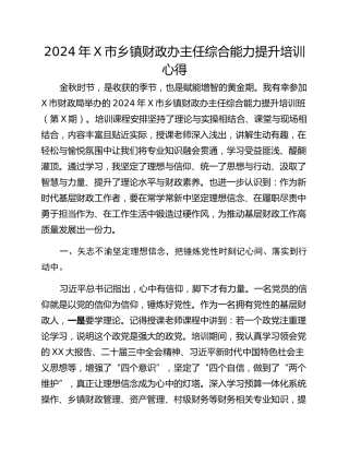 2024年X市乡镇财政办主任综合能力提升培训心得