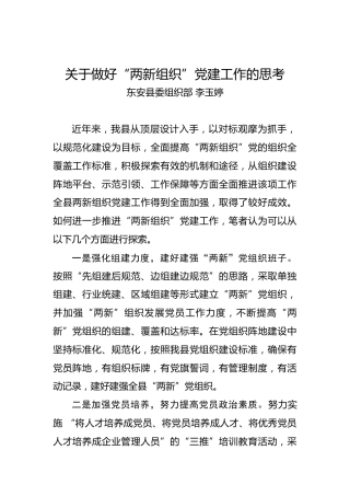关于做好“两新组织”党建工作的思考