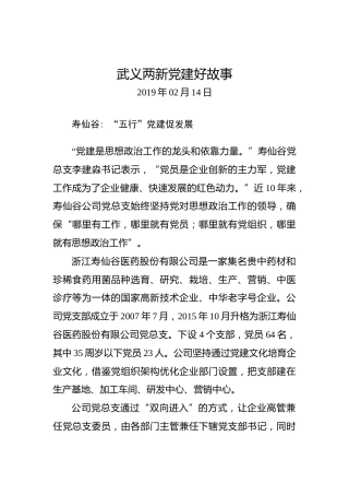 武义两新党建好故事