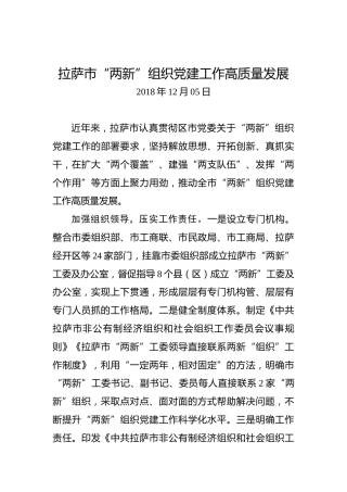 拉萨市“两新”组织党建工作高质量发展