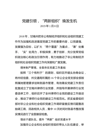 党建引领，“两新组织”焕发生机