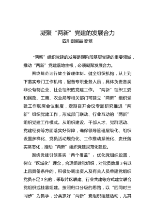 凝聚“两新”党建的发展合力