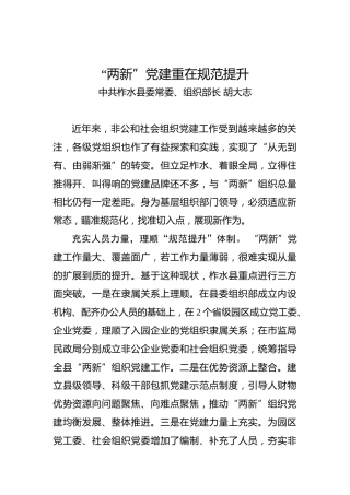 “两新”党建重在规范提升