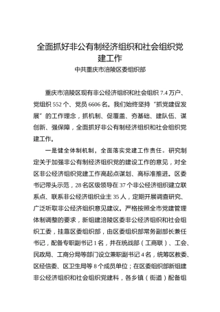 全面抓好非公有制经济组织和社会组织党建工作