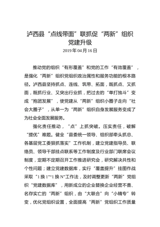 泸西县“点线带面”联抓促“两新”组织党建升级
