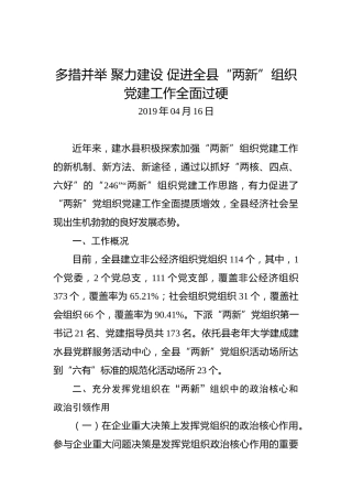 多措并举聚力建设促进全县“两新”组织党建工作全面过硬
