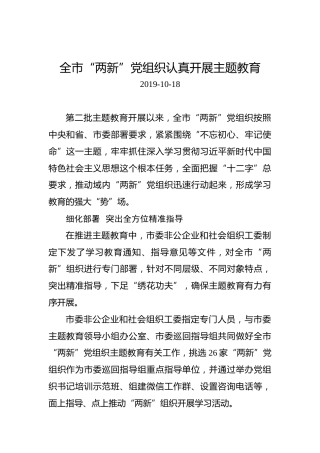 全市“两新”党组织认真开展主题教育