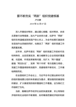 要不断夯实“两新”组织党建根基