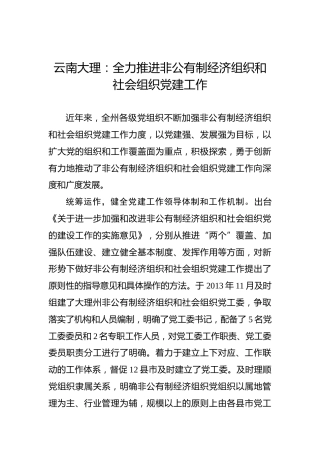 云南大理：全力推进非公有制经济组织和社会组织党建工作