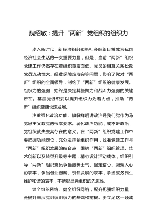 魏绍敏：提升“两新”党组织的组织力