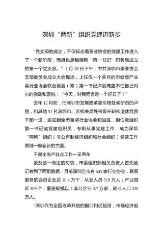 深圳“两新”组织党建迈新步