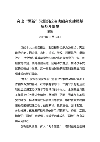 突出“两新”党组织政治功能夯实建强基层战斗堡垒