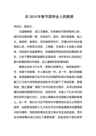 3在2019年春节团拜会上的致辞