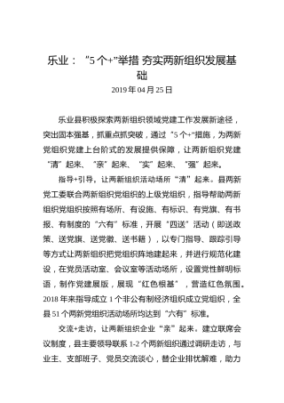 乐业：“5个”举措夯实两新组织发展基础