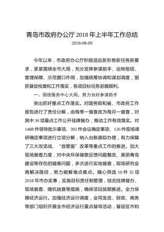 青岛市政府办公厅2018年上半年工作总结