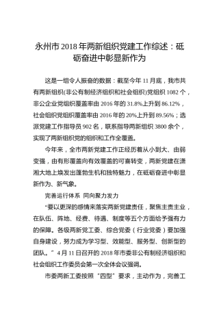 永州市2018年两新组织党建工作综述：砥砺奋进中彰显新作为