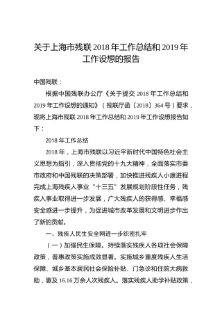 上海市残联2018年工作总结和2019年工作设想的报告