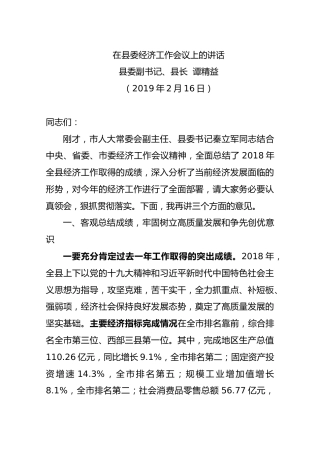 2019县委副书记、县长谭精益在县委经济工作会议上的讲话