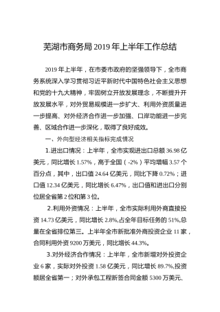 芜湖市商务局2019年上半年工作总结