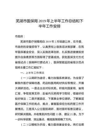 芜湖市医保局2019年上半年工作总结和下半年工作安排