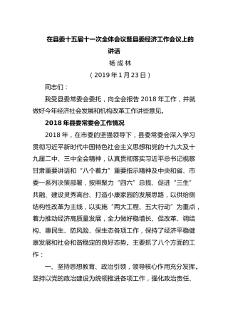 2019杨成林在县委十五届十一次全体会议暨县委经济工作会议上的讲话
