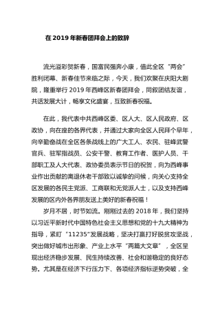 在2019年新春团拜会上的致辞