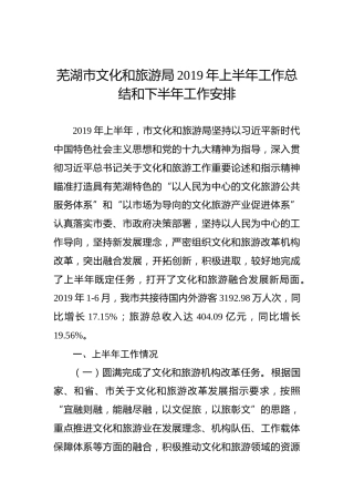 芜湖市文化和旅游局2019年上半年工作总结和下半年工作安排