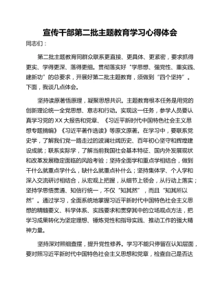 宣传干部第二批主题教育学习心得体会